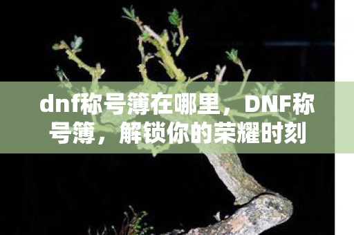 dnf称号簿在哪里图片