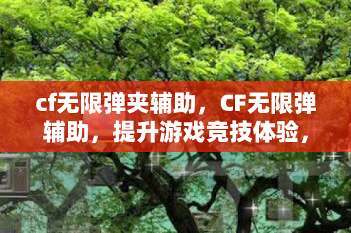 cf无限弹夹辅助图片