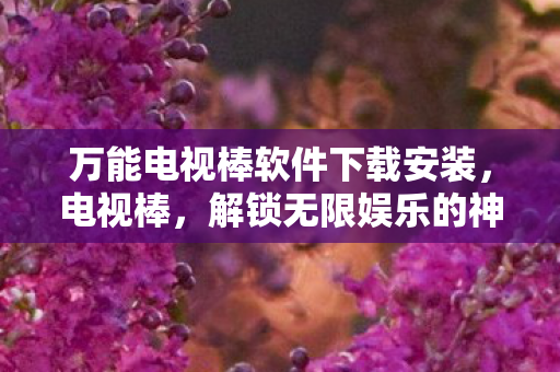 万能电视棒软件下载安装图片