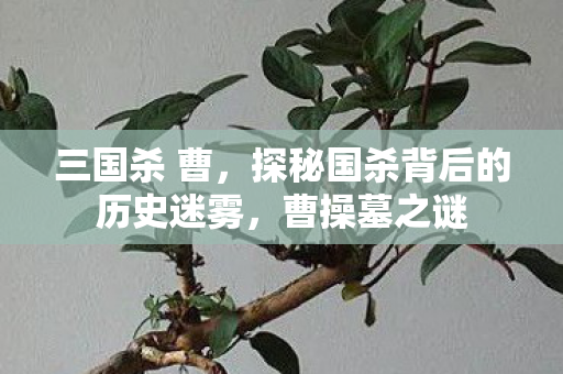 探秘国杀背后的历史迷雾图片