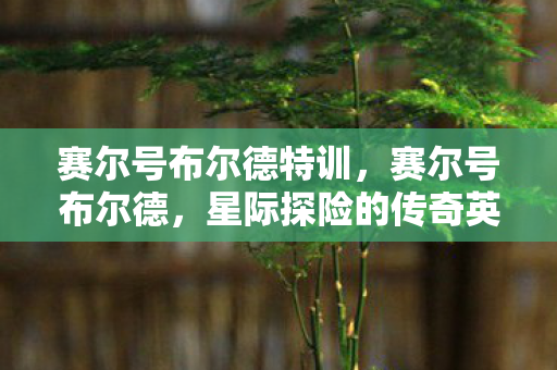 星际探险的传奇英雄图片