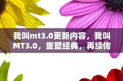 我叫mt3图片