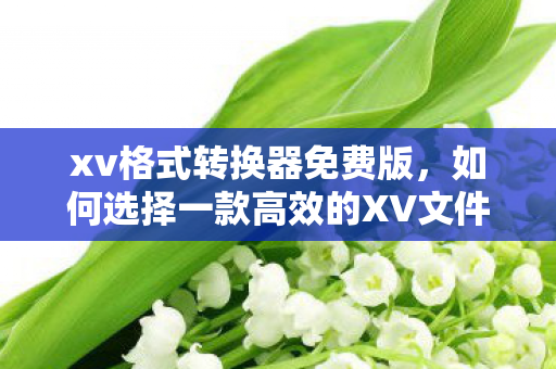如何选择一款高效的XV文件格式转换器图片