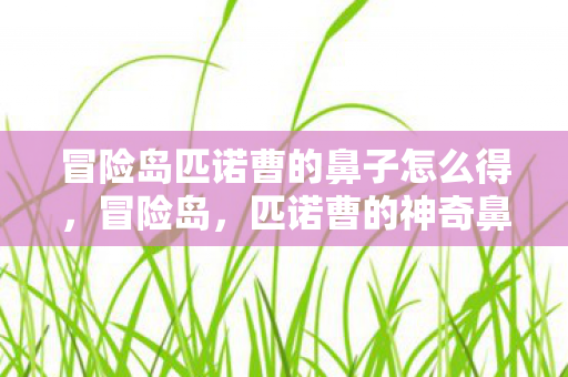 冒险岛匹诺曹的鼻子怎么得，冒险岛，匹诺曹的神奇鼻子