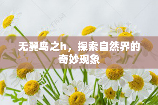 探索自然界的奇妙现象图片