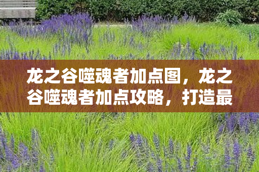 龙之谷噬魂者加点攻略图片