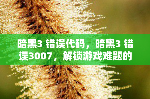 解锁游戏难题的终极指南图片