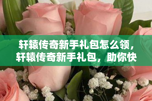 轩辕传奇新手礼包怎么领图片