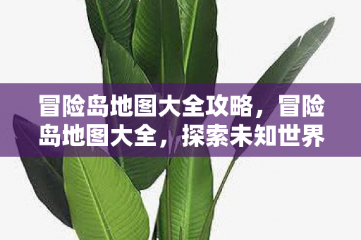 冒险岛地图大全攻略，冒险岛地图大全，探索未知世界的宝藏