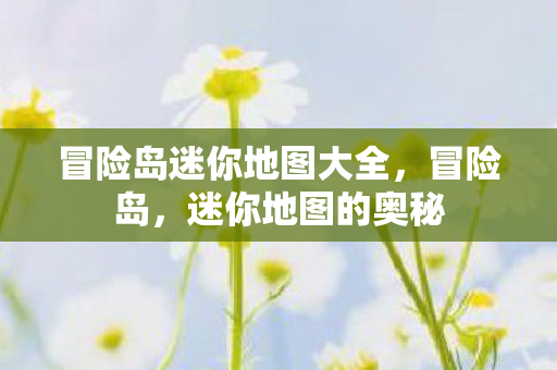 冒险岛迷你地图大全，冒险岛，迷你地图的奥秘