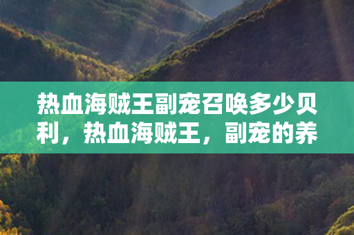 热血海贼王副宠召唤多少贝利，热血海贼王，副宠的养成与策略