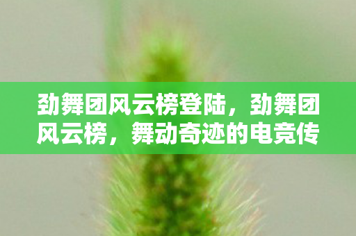 劲舞团风云榜登陆，劲舞团风云榜，舞动奇迹的电竞传奇
