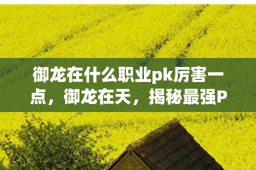 御龙在什么职业pk厉害一点,御龙在天,揭秘最强PK职业 御龙在什么职业pk厉害一点,御龙在天,揭秘最强PK职业