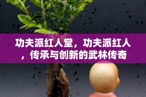 功夫派红人堂,功夫派红人,传承与创新的武林传奇 功夫派红人堂,功夫派红人,传承与创新的武林传奇