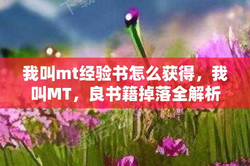 我叫mt经验书怎么获得,我叫MT,良书籍掉落全解析 我叫mt经验书怎么获得,我叫MT,良书籍掉落全解析