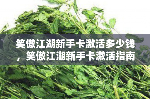 笑傲江湖新手卡激活多少钱，笑傲江湖新手卡激活指南，快速入门，畅游江湖！