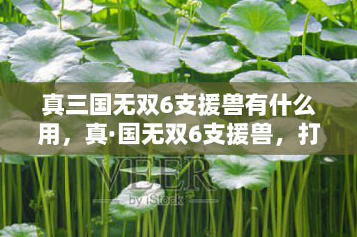 真三国无双6支援兽有什么用,真·国无双6支援兽,打造最强战斗伙伴 真三国无双6支援兽有什么用,真·国无双6支援兽,打造最强战斗伙伴