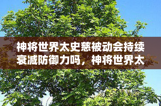 神将世界太史慈被动会持续衰减防御力吗图片