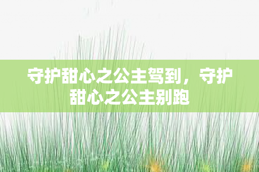 守护甜心之公主驾到，守护甜心之公主别跑