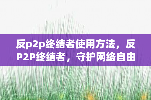 反p2p终结者使用方法,反P2P终结者,守护网络自由的战士 反p2p终结者使用方法,反P2P终结者,守护网络自由的战士
