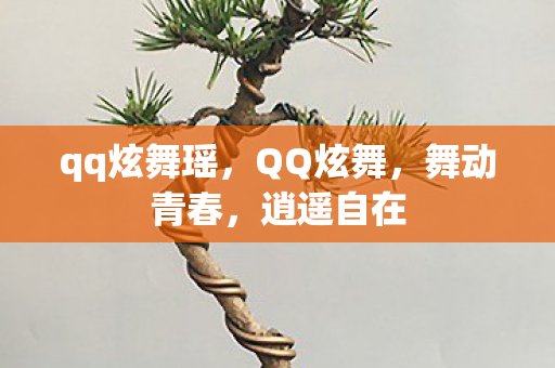 qq炫舞瑶，QQ炫舞，舞动青春，逍遥自在
