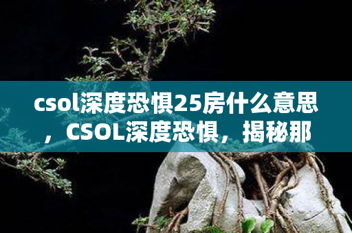 csol深度恐惧25房什么意思，CSOL深度恐惧，揭秘那些令人头疼的BUG