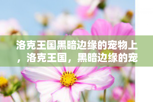 洛克王国黑暗边缘的宠物上，洛克王国，黑暗边缘的宠物