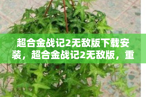 超合金战记2无敌版下载安装,超合金战记2无敌版,重温经典,再战未来 超合金战记2无敌版下载安装,超合金战记2无敌版,重温经典,再战未来