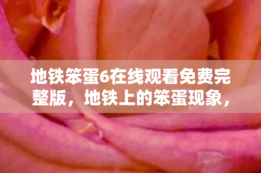 地铁笨蛋6在线观看免费完整版,地铁上的笨蛋现象,城市生活的小确幸与尴尬瞬间 地铁笨蛋6在线观看免费完整版,地铁上的笨蛋现象,城市生活的小确幸与尴尬瞬间