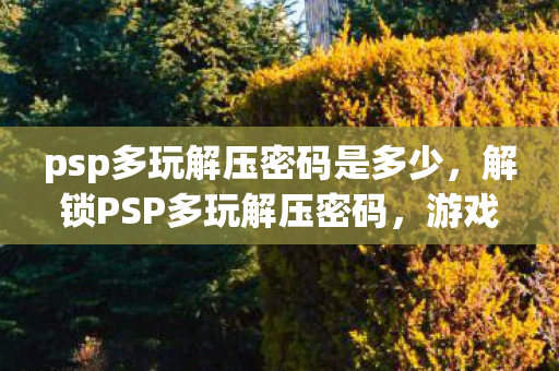 psp多玩解压密码是多少,解锁PSP多玩解压密码,游戏与娱乐的完美结合 psp多玩解压密码是多少,解锁PSP多玩解压密码,游戏与娱乐的完美结合