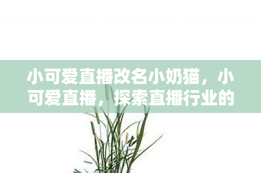 小可爱直播改名小奶猫,小可爱直播,探索直播行业的甜蜜新宠 小可爱直播改名小奶猫,小可爱直播,探索直播行业的甜蜜新宠