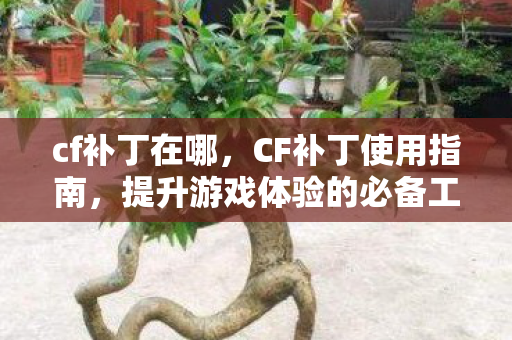 cf补丁在哪，CF补丁使用指南，提升游戏体验的必备工具