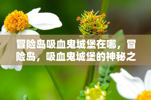 冒险岛吸血鬼城堡在哪，冒险岛，吸血鬼城堡的神秘之旅