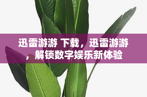 迅雷游游 下载,迅雷游游,解锁数字娱乐新体验 迅雷游游 下载,迅雷游游,解锁数字娱乐新体验