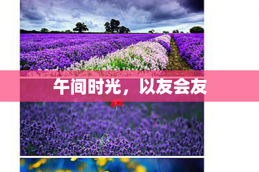 午间时光，以友会友