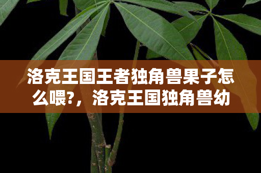 洛克王国王者独角兽果子怎么喂?,洛克王国独角兽幼果的神奇用途 洛克王国王者独角兽果子怎么喂?,洛克王国独角兽幼果的神奇用途