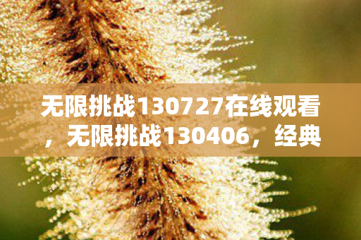 无限挑战130727在线观看，无限挑战130406，经典回顾与感悟