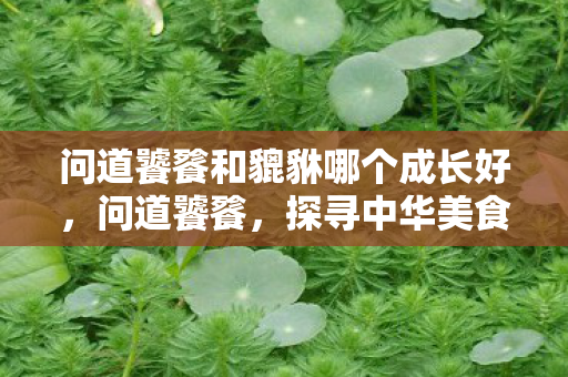 问道饕餮和貔貅哪个成长好,问道饕餮,探寻中华美食的古老传说 问道饕餮和貔貅哪个成长好,问道饕餮,探寻中华美食的古老传说