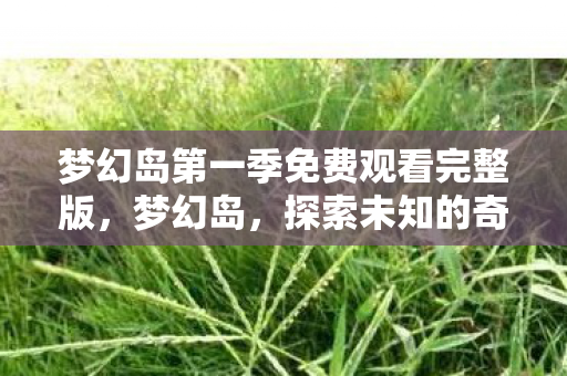 梦幻岛第一季免费观看完整版图片
