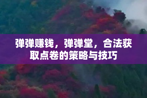 弹弹赚钱,弹弹堂,合法获取点卷的策略与技巧 弹弹赚钱,弹弹堂,合法获取点卷的策略与技巧