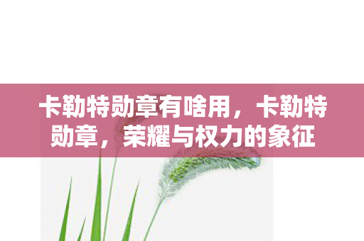 卡勒特勋章有啥用,卡勒特勋章,荣耀与权力的象征 卡勒特勋章有啥用,卡勒特勋章,荣耀与权力的象征