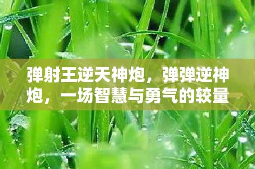 弹射王逆天神炮，弹弹逆神炮，一场智慧与勇气的较量