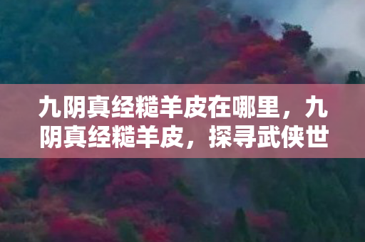 探寻武侠世界中的神秘宝物图片