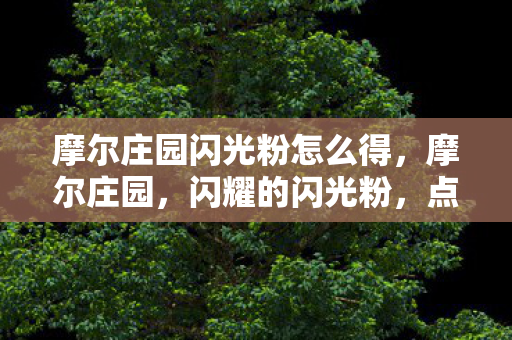 摩尔庄园闪光粉怎么得,摩尔庄园,闪耀的闪光粉,点亮你的创意世界 摩尔庄园闪光粉怎么得,摩尔庄园,闪耀的闪光粉,点亮你的创意世界