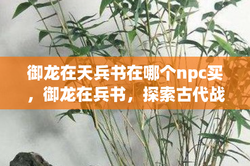 御龙在天兵书在哪个npc买，御龙在兵书，探索古代战争智慧与策略