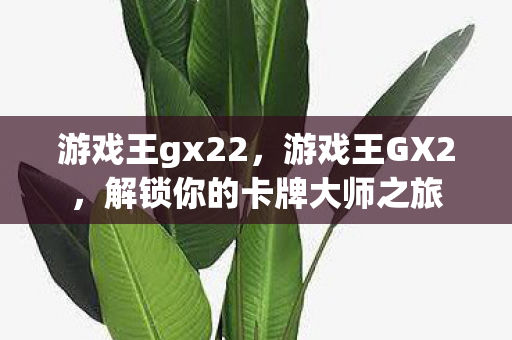 游戏王gx22，游戏王GX2，解锁你的卡牌大师之旅