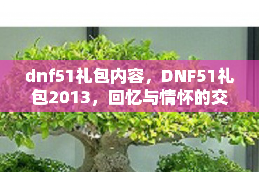 dnf51礼包内容，DNF51礼包2013，回忆与情怀的交织
