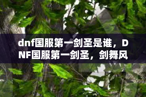 dnf国服第一剑圣是谁，DNF国服第一剑圣，剑舞风云，独步江湖