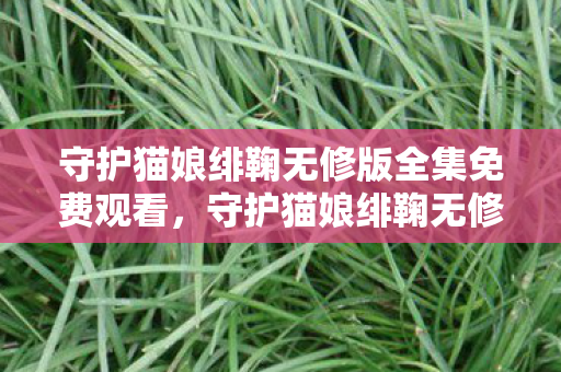 守护猫娘绯鞠无修版全集免费观看，守护猫娘绯鞠无修版，一场奇幻的冒险之旅