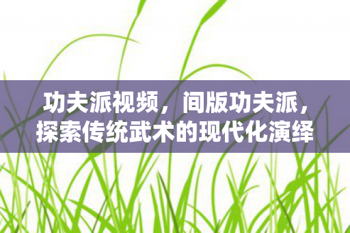 功夫派视频,间版功夫派,探索传统武术的现代化演绎 功夫派视频,间版功夫派,探索传统武术的现代化演绎
